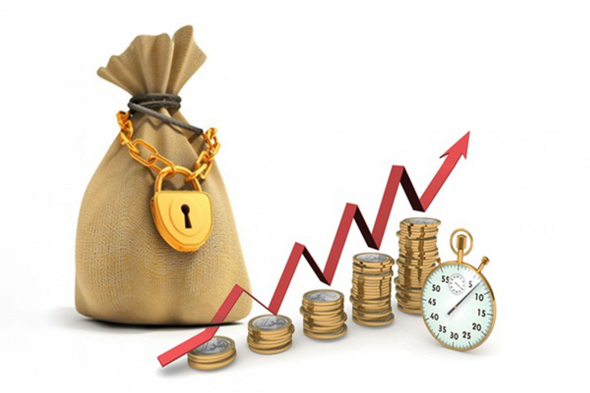 profit-daya-image1.jpg